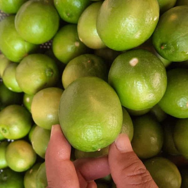 میوه لیمو ترش لایم